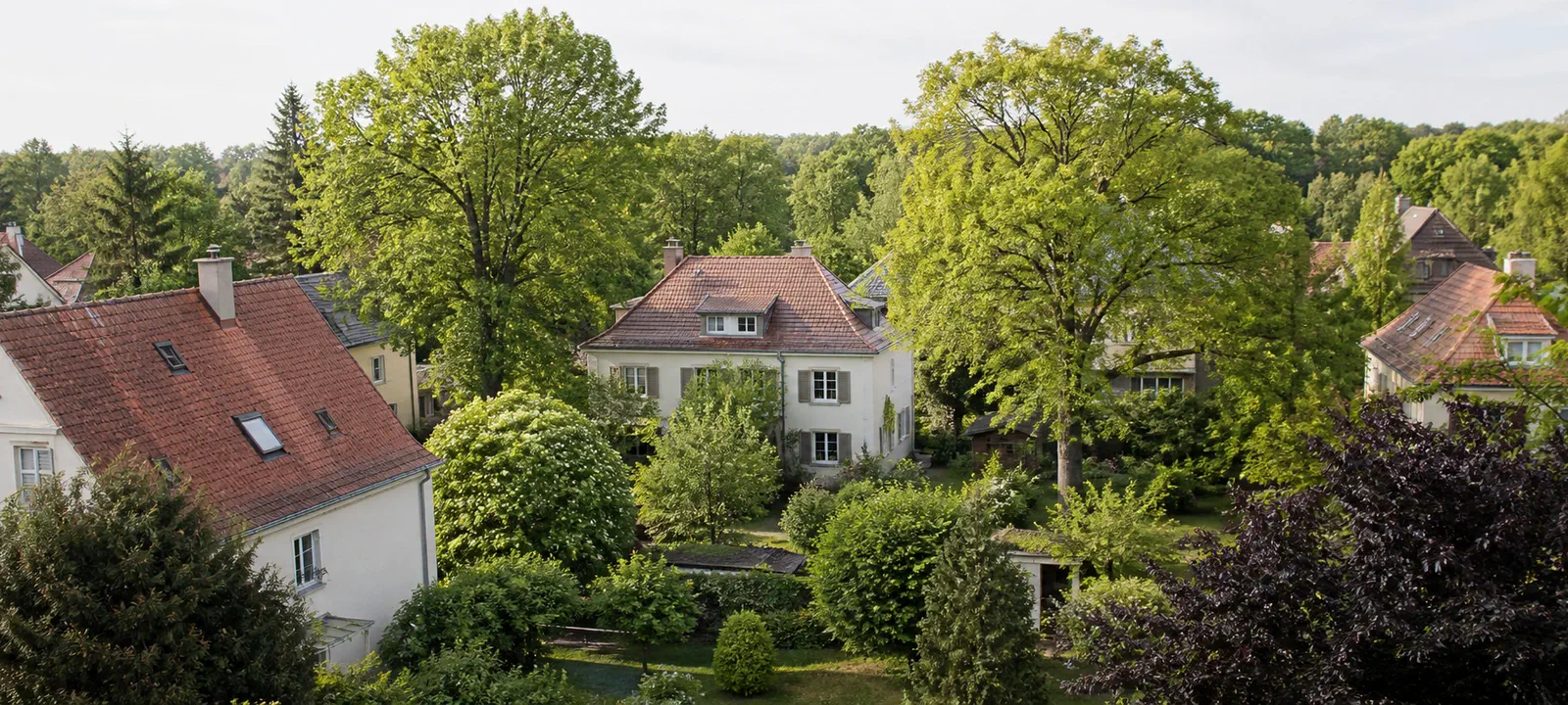 Hausdächer und zusammenhängendes Stadtgrün in einem gewachsenen Wohngebiet